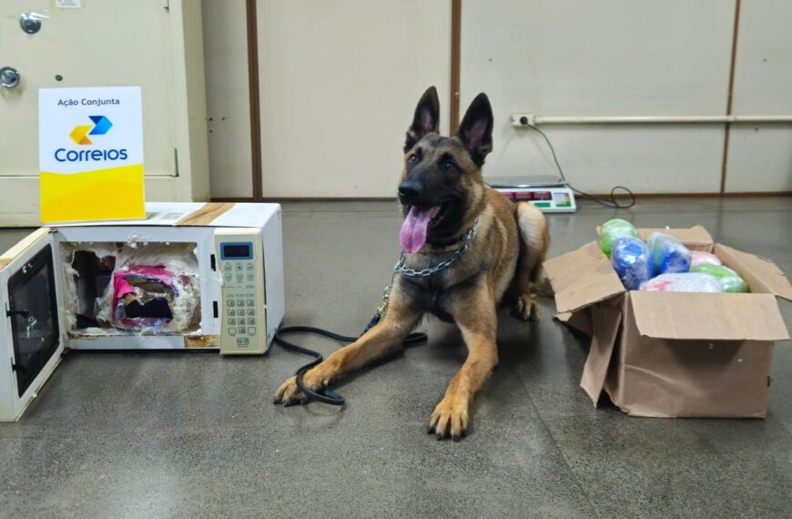 Polícia apreende 21 quilos de drogas de alto valor comercial em agência dos Correios