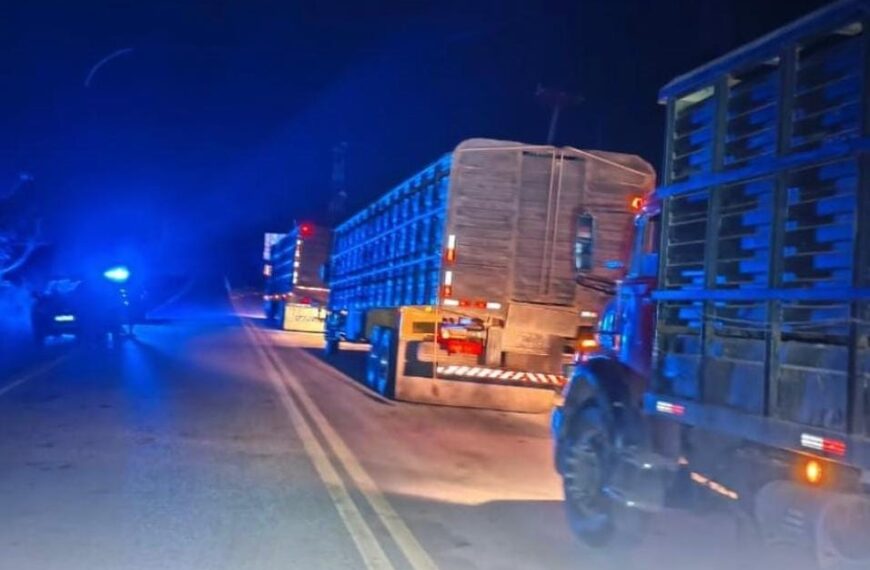 Polícia Militar Rural apreende caminhões…