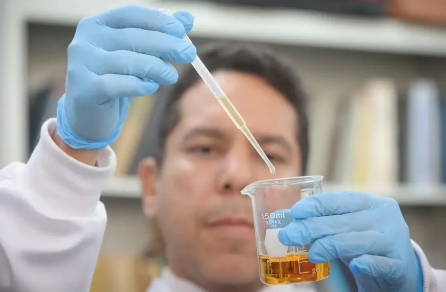 Metanol: Crise completa um mês com alerta para falsificação de bebidas