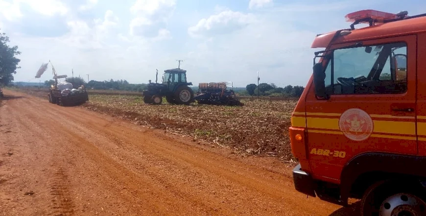 Trabalhador rural morre atacado por abelhas em plantio de soja