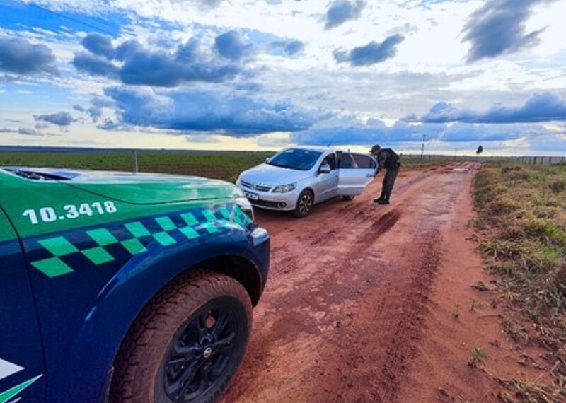 Operação resgata quase 800 animais silvestres e prende 18 pessoas em ação nacional contra o tráfico