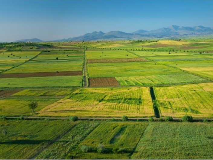 MP fiscaliza acordo ambiental de R$ 250 mil por danos em fazenda de Ponta Porã