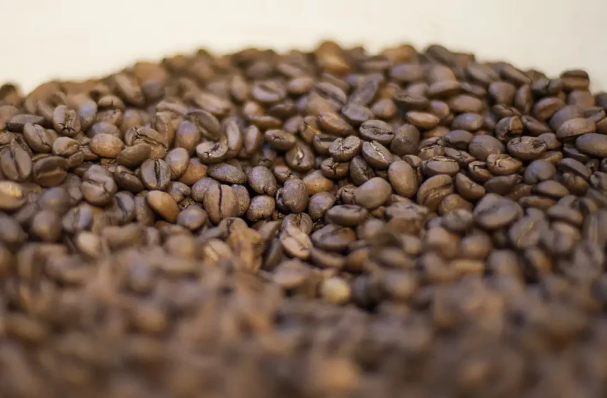 Trump diz que reduzirá tarifas para importação de café