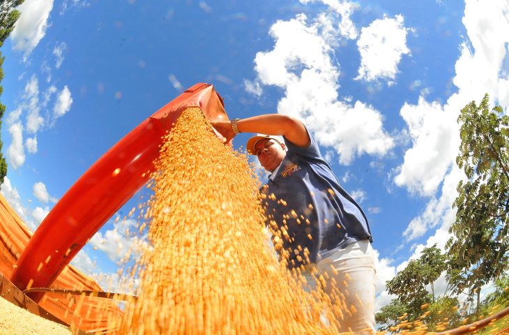 Valor Bruto da Produção Agropecuária de MS cresce 23,6% e atinge R$ 76,3 bilhões