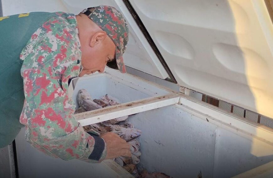 PMA realiza vistorias em comércios de pescado durante a Operação Piracema