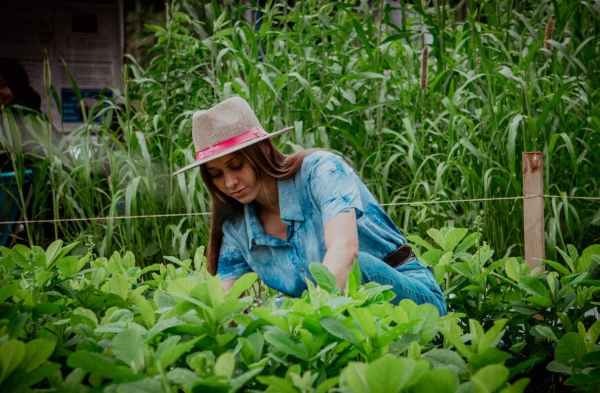 AGROTEC 2025 reforça práticas sustentáveis como eixo da produção agrícola