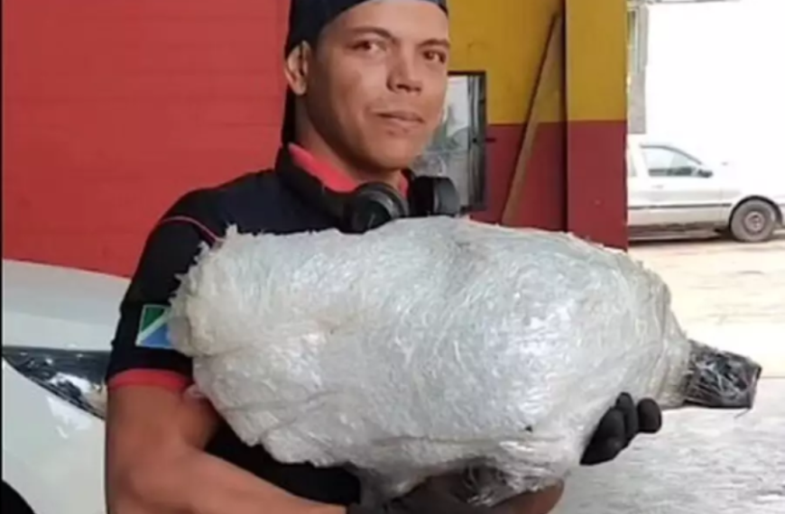 Homem é preso após esfaquear mulheres, criança e atear fogo em residência