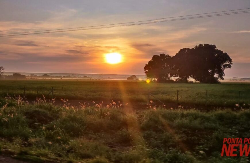 Dia será quente com temperatura máxima chegando aos 35ºC em Ponta Porã