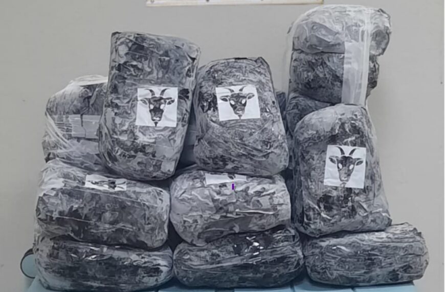 Polícia Militar Rodoviária apreende carga de skunk em ônibus na BR-262