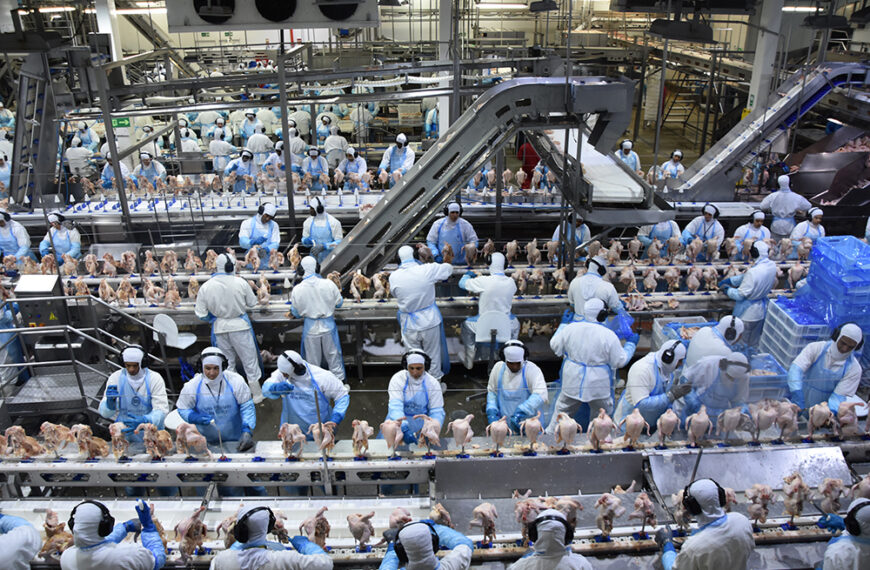 Exportações de industrializados de MS alcançaram em novembro US$ 592,9 milhões