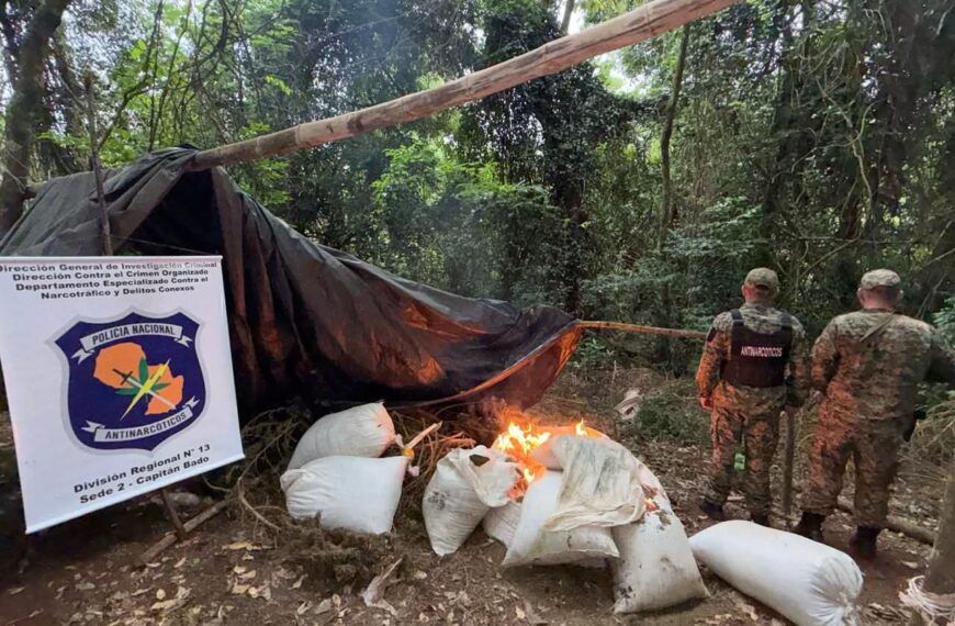 Plantação de maconha é destruída na fronteira com o MS