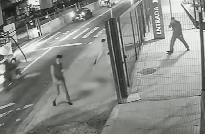 Cachorro é morto com dez tiros em frente a ponto de ônibus em SP