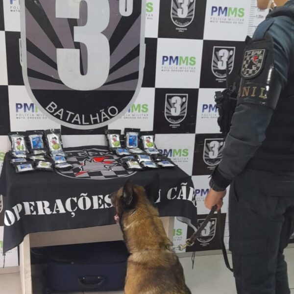 Mulher é presa pela PM com 2,5 quilos&hellip;