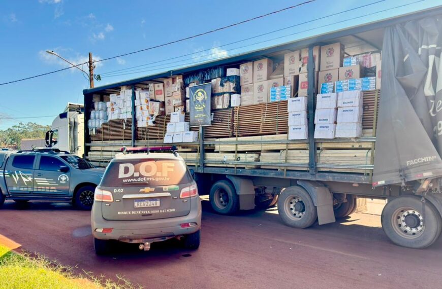 DOF apreende cigarros e agrotóxicos avaliados em R$ 2,1 mi em carga de madeira