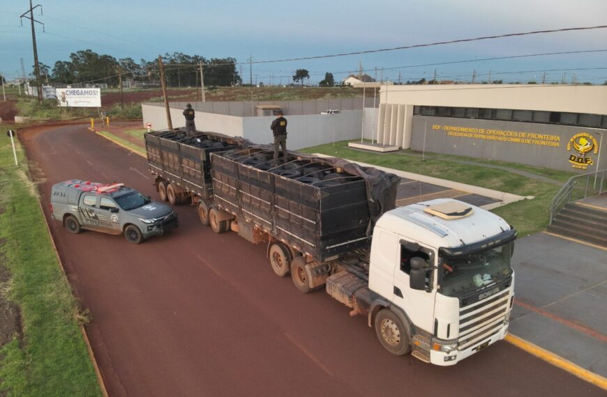 Irmãos são presos em Maracaju com 200 pneus de caminhão que seriam entregues em MT