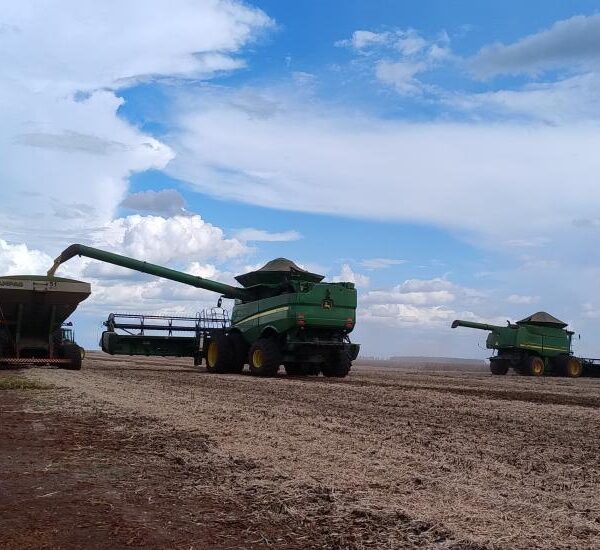 Colheita da soja e plantio do milho avançam&hellip;