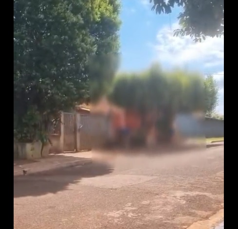 ASSISTA: Polícia Ambiental autua morador de Douradina por maus-tratos contra animal