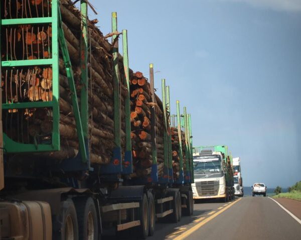 Concessão da Rota da Celulose garante segurança viária&hellip;