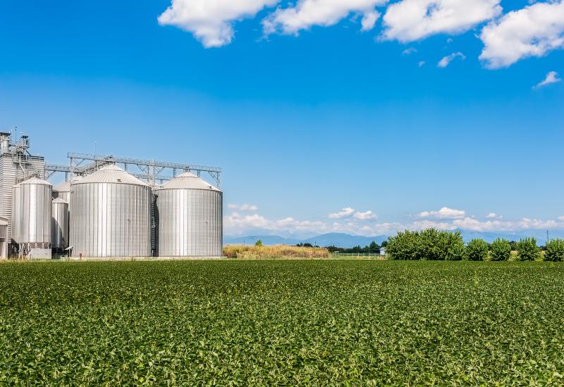 Painel disponibiliza dados de armazenagem por município em Mato Grosso do Sul