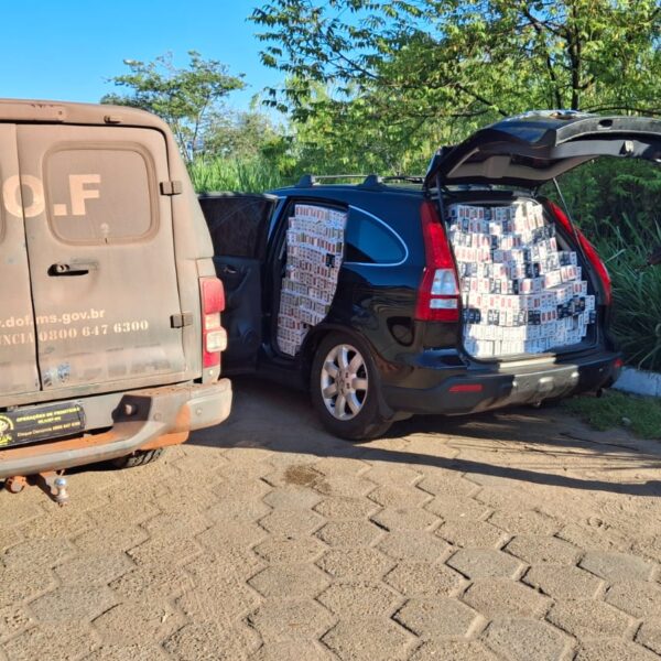 DOF apreende R$ 150 mil em cigarros contrabandeados&hellip;