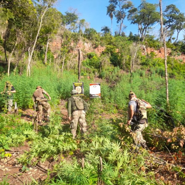 SENAD destrói acampamento do tráfico e elimina 15&hellip;