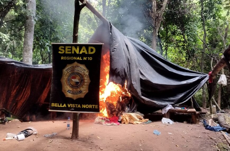 SENAD destrói 18 toneladas de maconha em acampamento do narcotráfico na fronteira