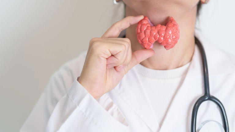 Síndrome de Hashimoto: sintomas, diagnóstico e tratamento