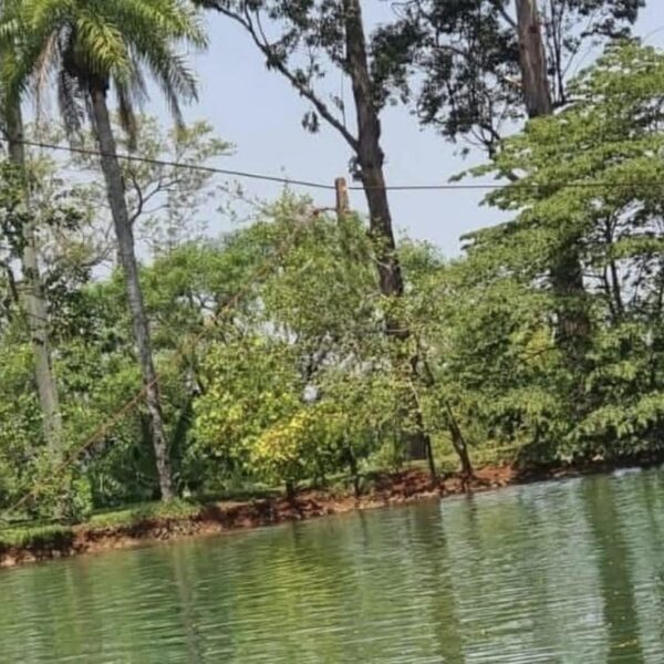 Descarga elétrica em tirolesa deixa jovem morto e&hellip;