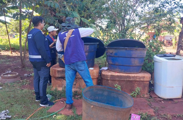 MS abre leitos, articula vacina e atua em territórios indígenas para frear a Chikungunya