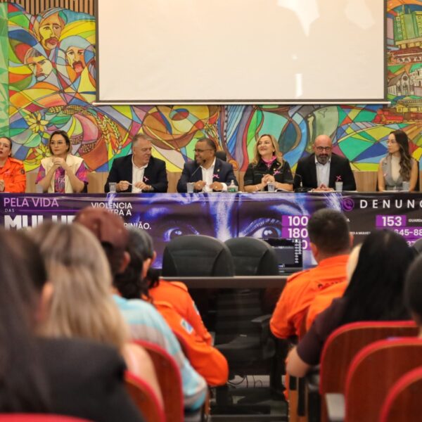 Audiência Pública sobre violência contra a Mulher: “combate&hellip;