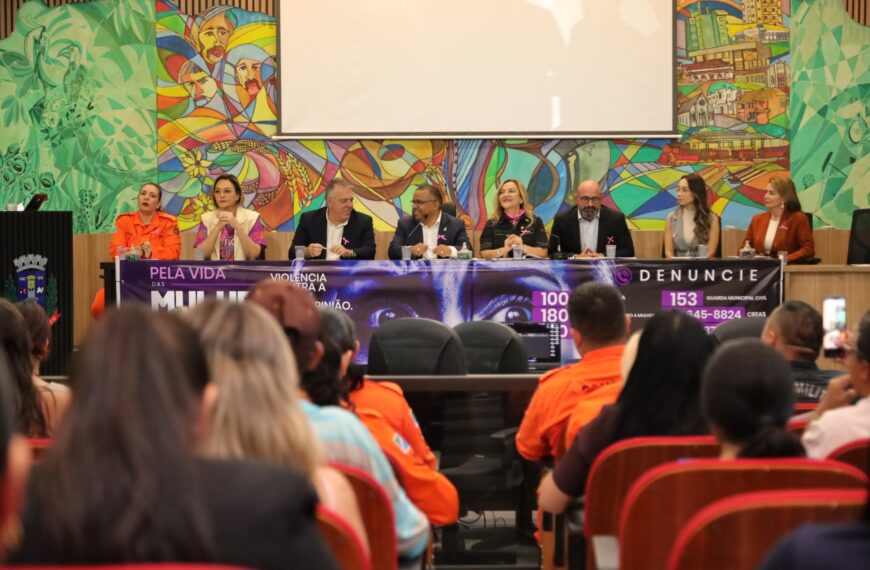 Audiência Pública sobre violência contra a Mulher: “combate se faz a cada segundo”