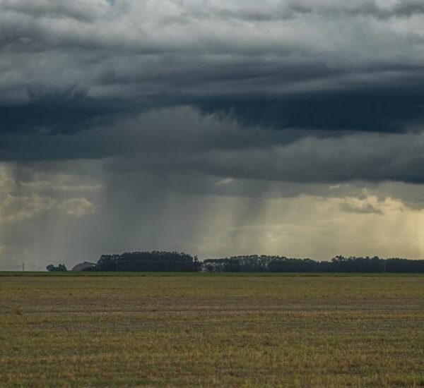 Com chuvas irregulares e calor acima da média,&hellip;