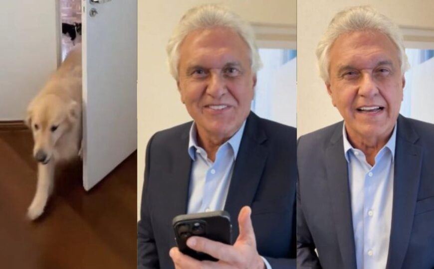 Caiado reage à fala de Lula sobre pets e ataca o governo