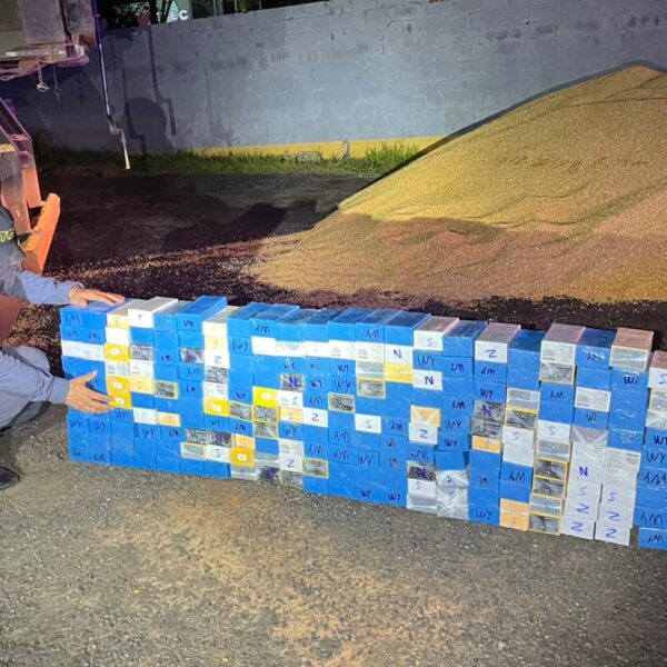 Contrabando de celulares que saiu de Ponta Porã&hellip;