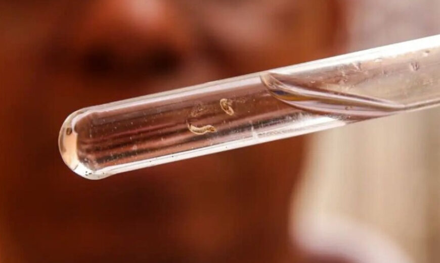 Dourados deixa de liderar casos e Fátima do Sul assume o primeiro lugar