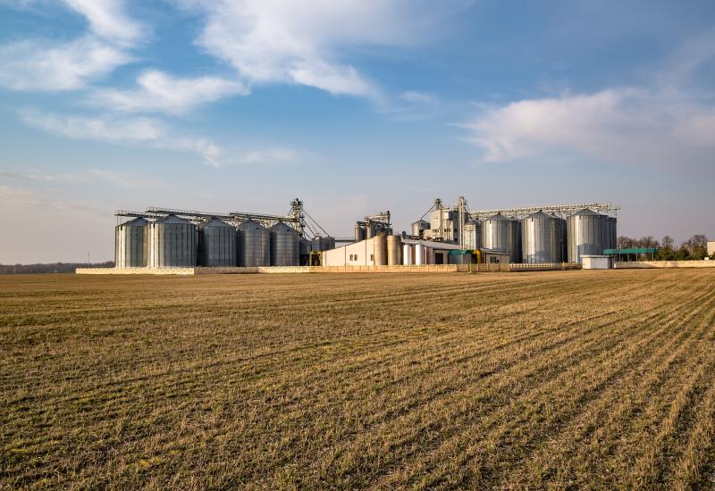 Comercialização de soja e milho apresenta ritmo cauteloso em Mato Grosso do Sul