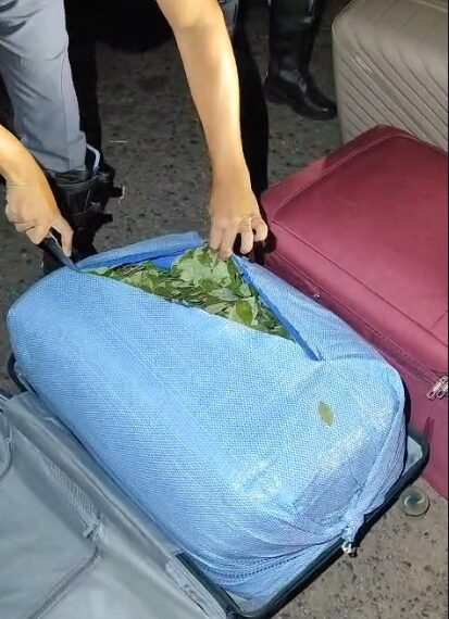 Boliviano é preso com 100 quilos de folha de coca na mala