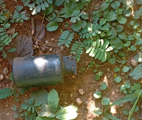 Granada é encontrada em terreno baldio em bairro&hellip;