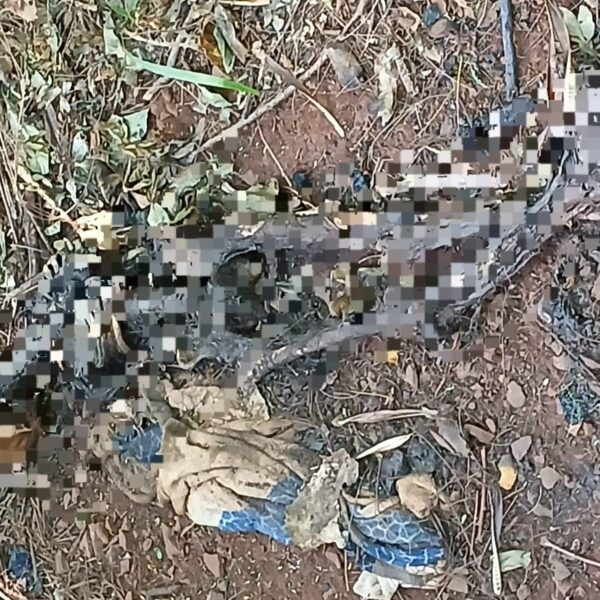 Ossada humana é encontrada em área de mata&hellip;