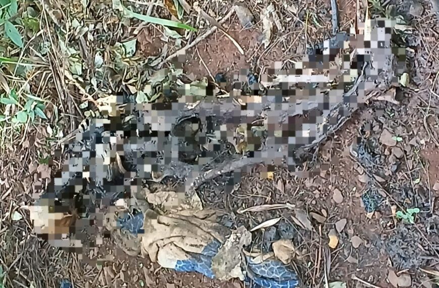 Ossada humana é encontrada em área de mata em Campo Grande