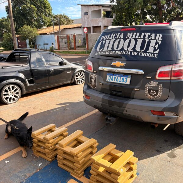 Cão farejador localiza 46 quilos de maconha em&hellip;