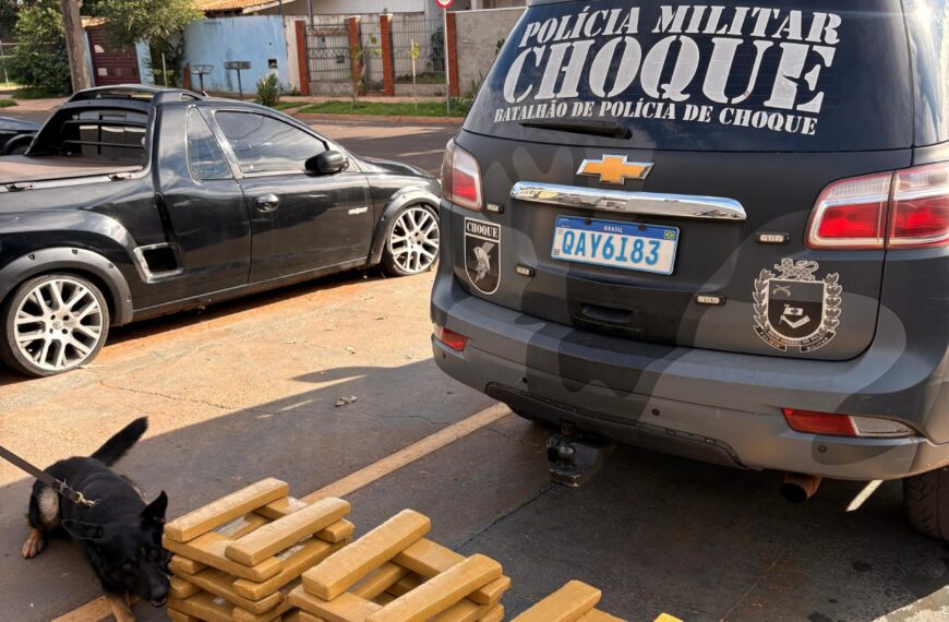 Cão farejador localiza 46 quilos de maconha em transportadora de Campo Grande