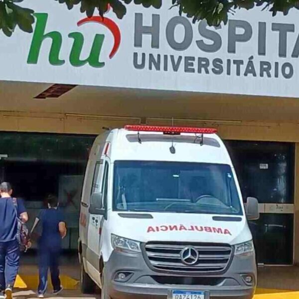 Criança ferida em ataques de pitbull em Ponta&hellip;