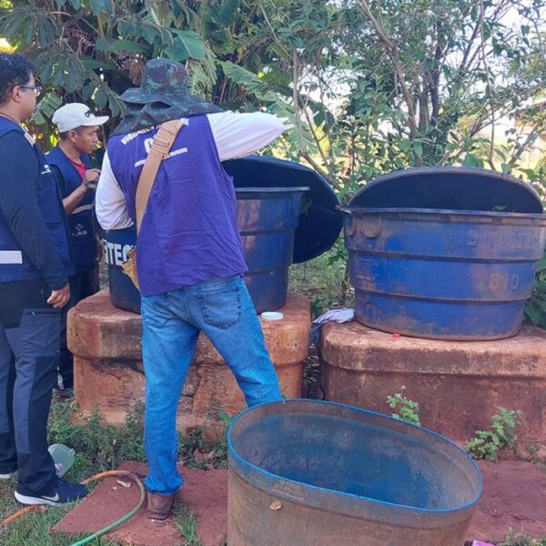 Chikungunya: entenda doença que preocupa Mato Grosso do&hellip;