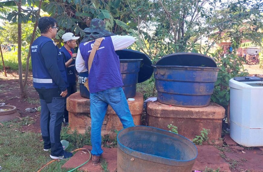 Chikungunya: entenda doença que preocupa Mato Grosso do Sul