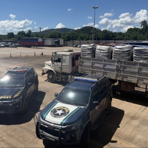 PF e Receita Federal apreendem 27 toneladas de&hellip;