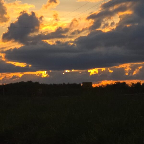 Sol predomina ao longo do dia e chuva&hellip;