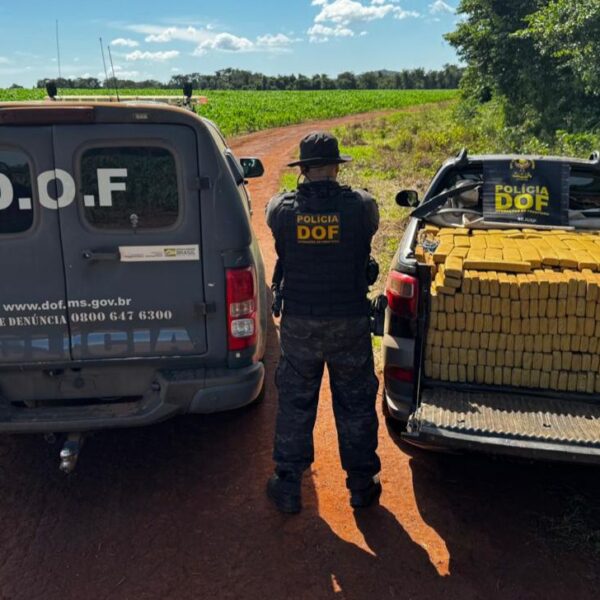 Carga de droga avaliada em R$ 2 milhões&hellip;