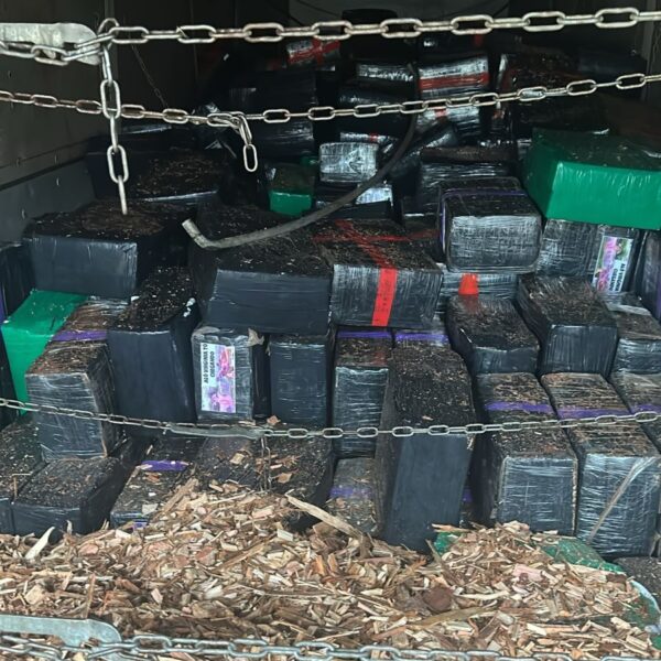 Operação conjunta apreende 10 toneladas de maconha em&hellip;