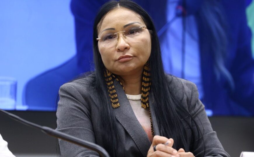 Por unanimidade, TSE mantém cassação de Silvia Waiãpi